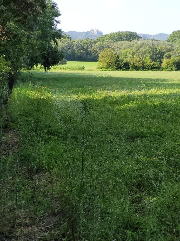 Appartement Cecile - Campagne Avec Piscine Commune - Eyragues Kültér fotó